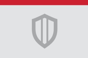 Symantec Endpoint Security Shield Grey